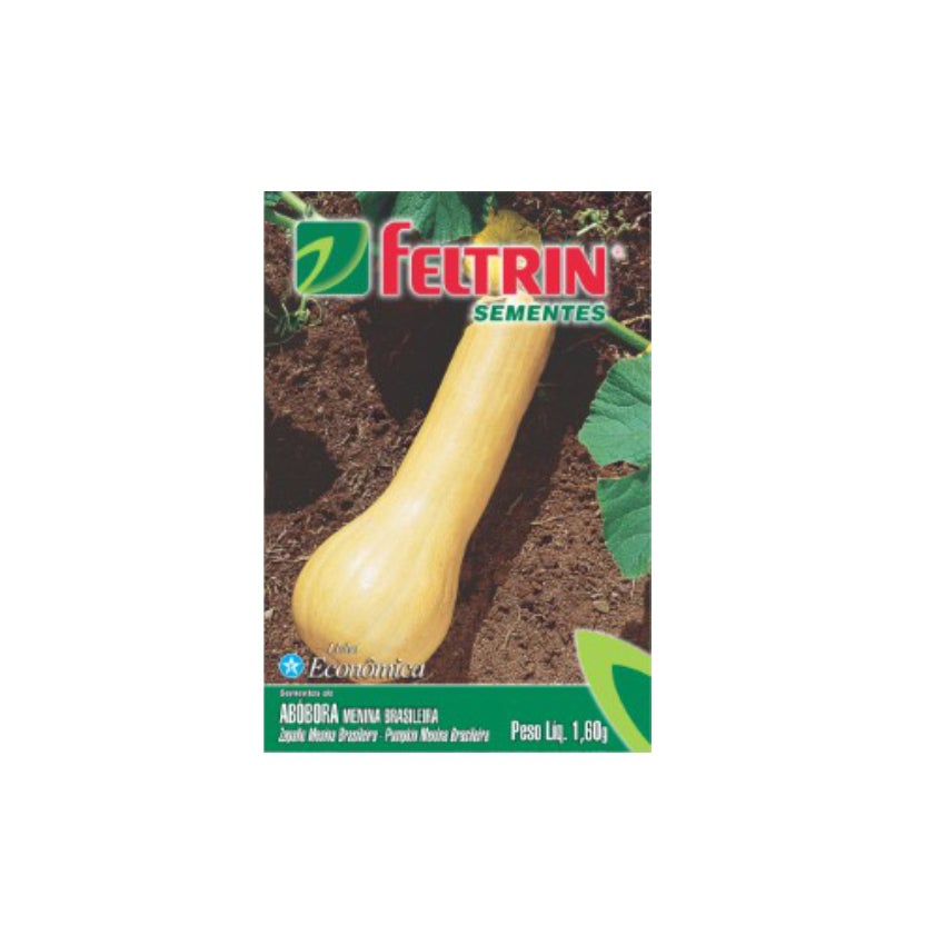 SEMENTE ABOBORA MENINA BRASILEIRA FELTRIN