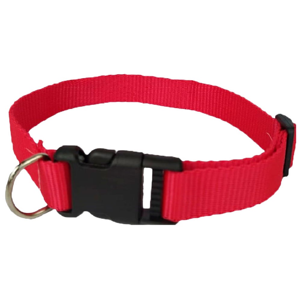COLEIRA CAO REGULAVEL NYLON 10 PET SOLUTION